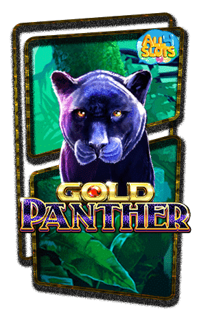 ทดลองเล่นสล็อต Gold Panther